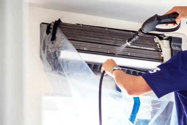 Best Air Duct Mold Removal  in USA